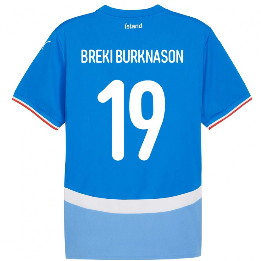 DanxenキッズアイスランドBirnir Breki Burknason#19青ホームシャツ24-26ジャージーユニフォーム